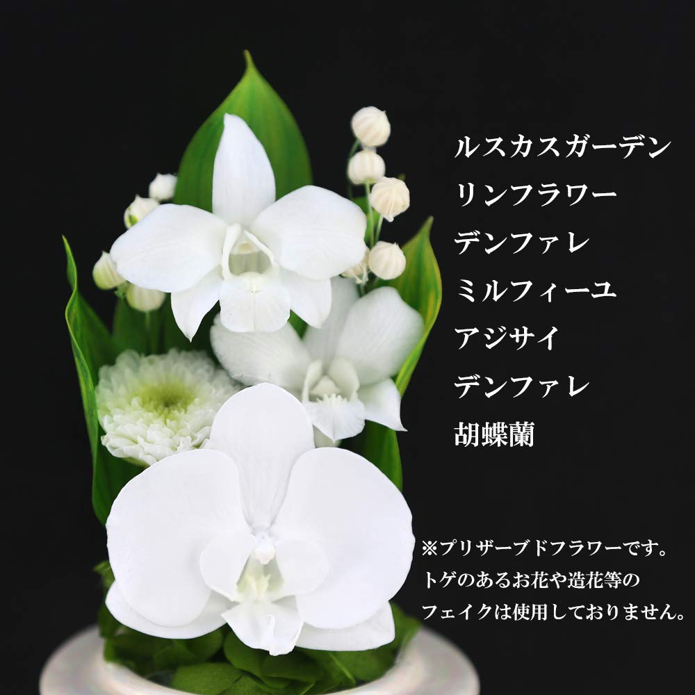 Art for Seasons Buddhist Flowers (White Mini Phalaenopsis Orchid Mini Glass Preserved Flowers)
