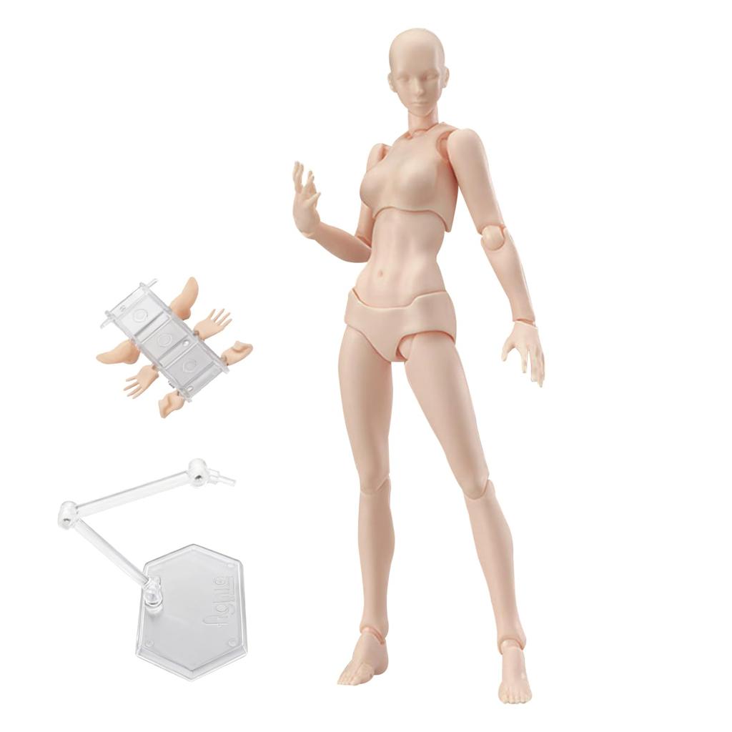 koundeneko Drawing Doll with Stand, Female Model, Manga Figure, Movable Joints, Freely Adjustable Posture, Muscle Style, Perfect for Posing Practice,