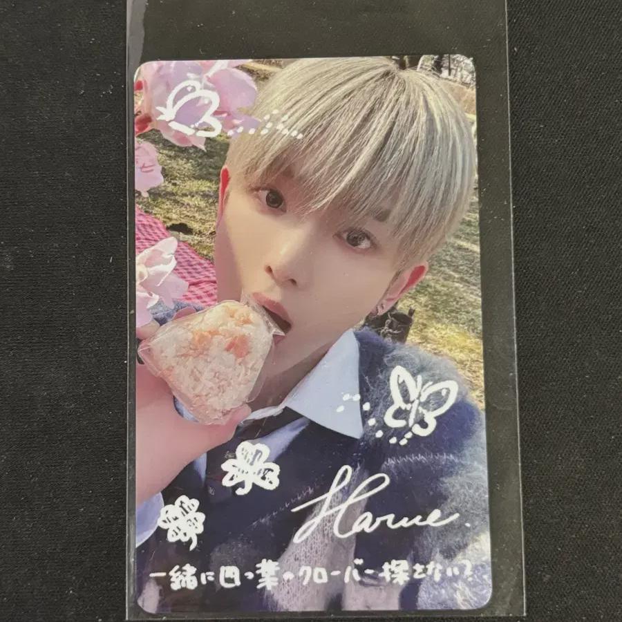 

&team Harua Goinblind Deco Bento Lucky Draw Photocard