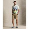 Polo Ralph Lauren Men S claSSic Fit meSh Graphic Polo Shirt Mnpokni1n823888100