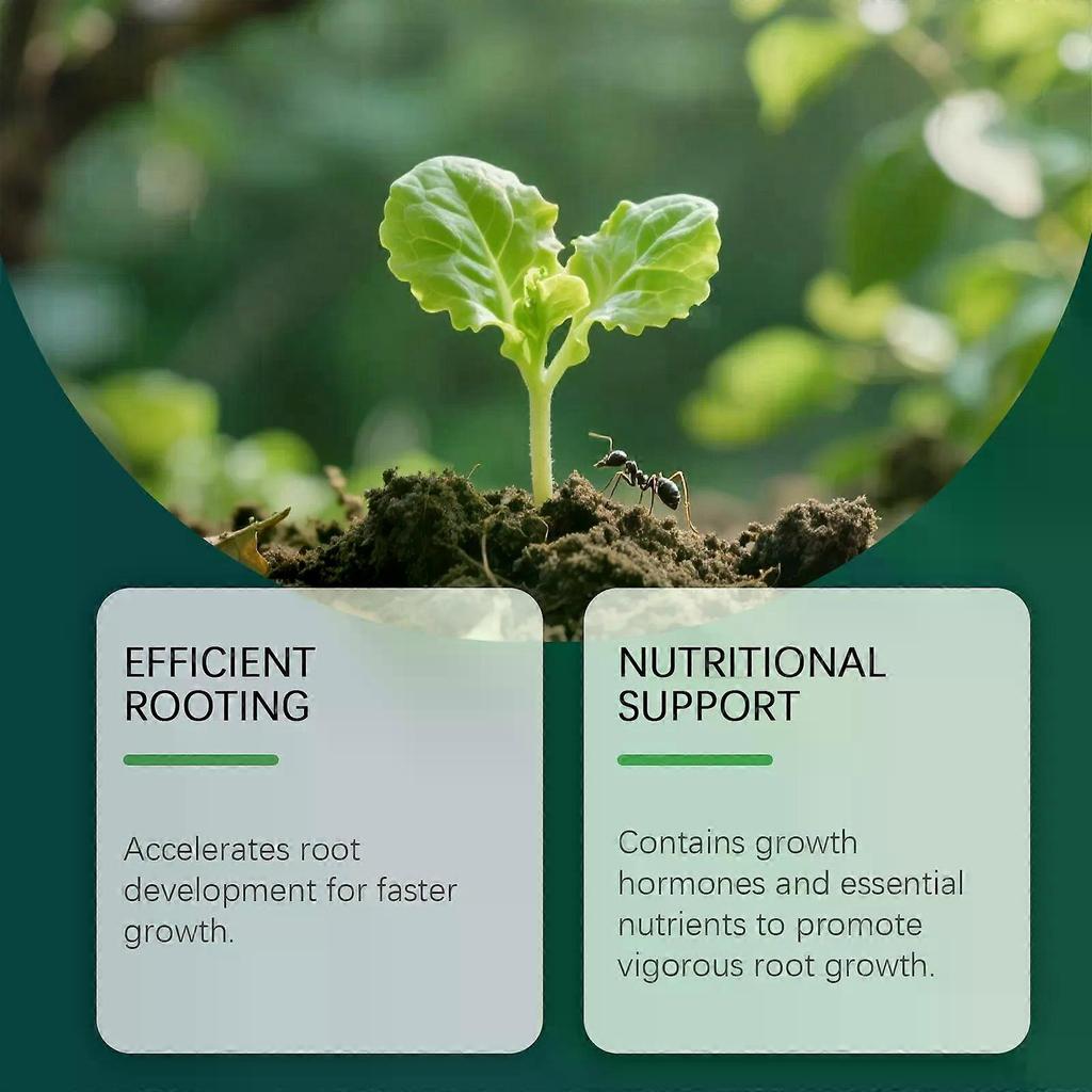 Strengthen Root Drops Plant Rooting Hormone for Cuttings, Propagation Drops for Indoor Houseplants, Stimulates Fast Root Growth, 100ml
