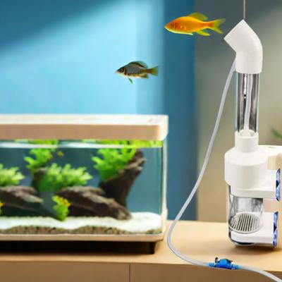 Pesci e animali marini – Manutenzione acquario