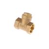 Female Thread Check Valve Equipment Accessories DN15 DN20 DN25 DN32 DN40 Horizontal Brass Wire Mouth Non-return Valve
