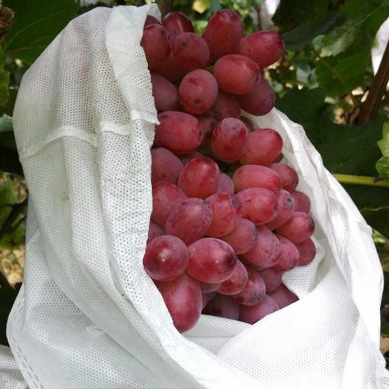 Drawstring Laundry Bag, Non-woven Fruit Bag, Grape Bag, Bird, Insect, and Waterproof Special Fruit Bag, Seedling thickened Bag