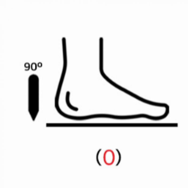 Prefris Shoes Cinamoroll Sneakers