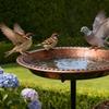 Metal Bird Bath for Outside 5 Pronged Base Birdbath with Stake Vintage Freestanding Feeder Bowl for Garden Patio Yard Lawn Decor