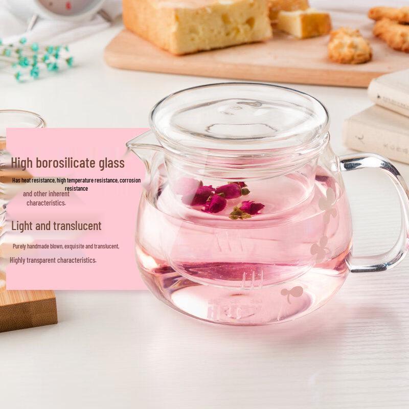 RELEA 500ML Tea Infuser Glass Water Bottle