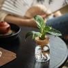 Thickened Hydroponic Flower Holder Glass Flower Pot Home Decor Mountain Viewing Bottle  Plant