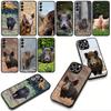 Phone Cover Pig Animal Wild Boar Casing for Apple iPhone 17 16 11 Pro XS Max XR 6 7 8 Plus + 16E SE 2020 Air 5 8+ Case