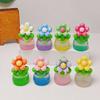 2 Pezzi Mini Resina Fiore Artificiale Statuetta Piccolo Fiorito Luminoso al Buio in Vaso per Casa delle Bambole Paesaggio in Miniatura Decorazione Casa Ufficio