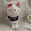 Stray Kids Plush Toy Wolf Chan Rebit Doll K-pop Merchandise.