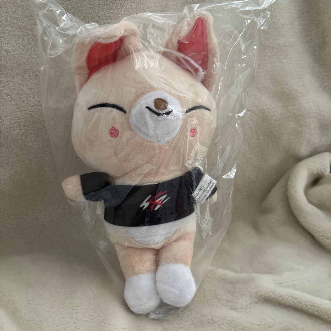 

Stray Kids plush toy Wolf Chan Rebit doll K-pop merchandise.