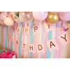 Happy Birthday Banner Pink Birthday Signs Party Supplies Garland Decorations Nursery Hanging Decor (Soft Pink)