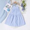 2026 New Summer Style Blue and White Vertical Striped Small Suspender Holiday Style Dress