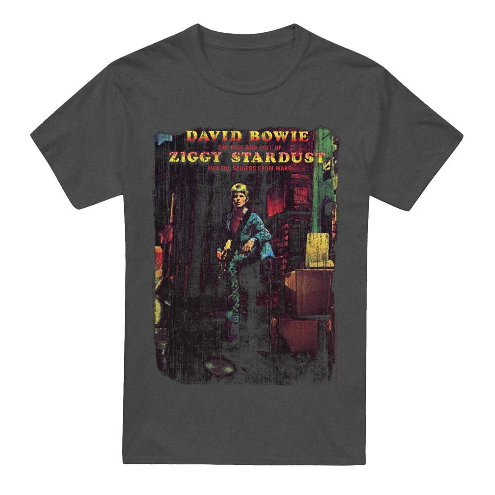 

David Bowie Ziggy Stardust Album T-Shirt S-2XL, Charcoal 3XL