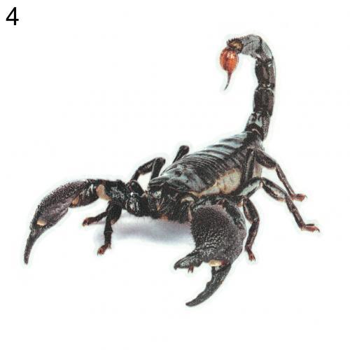 Adesivo per Auto 3D Lucertola Scorpione Ragno 3D Modello Animale Decorazione Decalcomania Finestrino Specchietto Paraurti Veicolo Resistente all'Acqua Alta Adesività