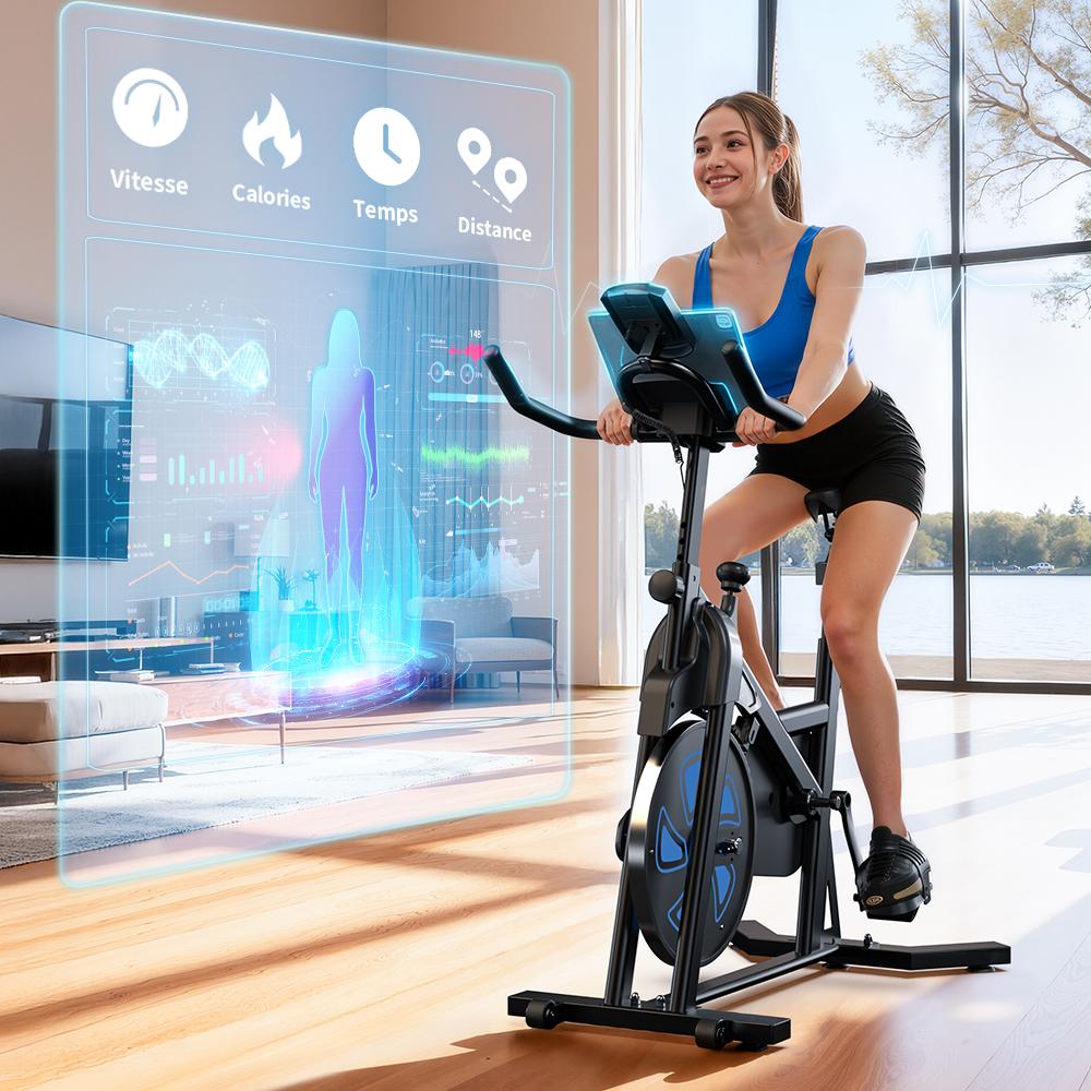 Indoor Cycling Bike iScooter QK116 6KG Flywheel Adjustable Resistance Magnetic Spin Bike LCD Screen Silent Belt