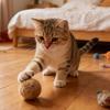 Furry Ball Cat Toy Soft Fluffy Cat Toy Ball Washable Fuzzy Fun Chasing Ball Enrichment Toy for Kittens Indoor Exercise Hunting Instincts