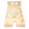 Shapewear Butt Lifter Briefs Panties Seamless Underpants Breathable Tummy Control Underwear  Women