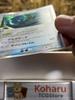 NM-Rayquaza Delta Holon Phantoms Pokemon Card Japanese