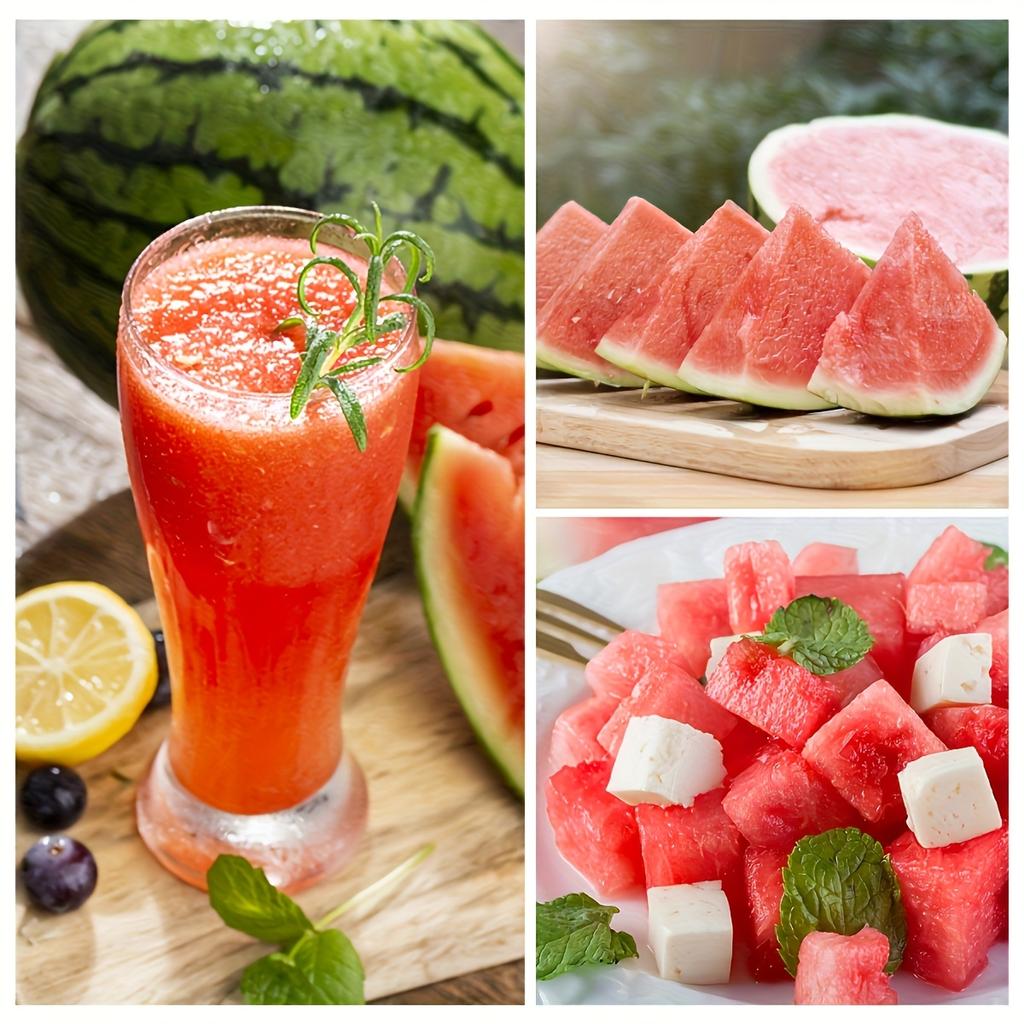 1PC Watermelon Seed Digger Portable and Quick Seed Removal Stall Restaurant Household Seed Remover Squeezes Watermelon Juice and Seeds Removal