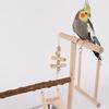 Pet Bird Cage Funfair Stand Swing Parrots Swing Gym Toy Funfair Training