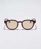 Sunglasses COVE CLEAR tortoise brown FREE [jugaad14] [Jugaad Fourteen] C.BRN9 123501196C.BRN9FREE