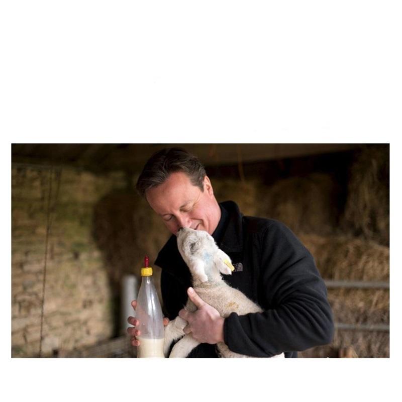 50 τμχ Θηλές από μαλακό καουτσούκ για ζώα, συμβατές με μπουκάλια, βιδωτό σύνδεσμο