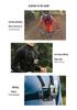 SELIFE Pocket4 Chest & Sports Camera Phone Holder