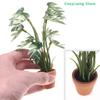 1Pcs Green Monstera Plant Potted Home Decoration Garden Bonsai Model 1/12 Simulation Micro Landscape