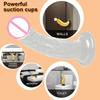 Realistic G-Spot Jelly Dildo Silicone Penis with Suction Cup Butt Plug Anal Toys Sex Toys for Women Female Masturbation Pussy