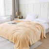 Solid Color Flannel Blanket Office Air Conditioning Soft Warm Imitation Mink Fur Throw Sofa Cover Bedspread Airplane Blankets