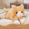 Plush Doll Cat Orange Cat Cloth Doll Cute Little Cat Healing Children Gift