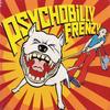 CD VARIOUS  Psychobilly Frenzy DRCD005 Downer 2001 Russia Rock Used
