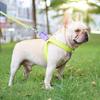 Pet Chest Strap Multi-color Anti-escape Adjustable Fashion Pet Harness Traction Leash for Outdoor