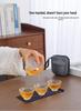 Portable Quick Brew Glass Teapot with Cups - Outdoor Travel Gongfu Tea Set