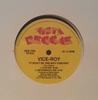 12inch Record VICEROYS - It Won't Be This Way Forever VR010 Vista Reggae 1989 US Reggae, Ska & Dub Used