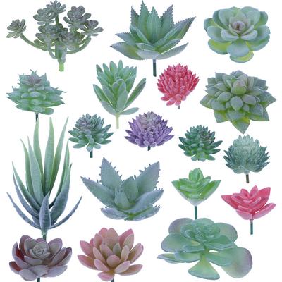 Set0819 Simulation Succulent Plant Set Succulent Plant Mixed With Home Shopping Mall Decoration Shooting Props