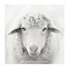 Womens Long Wool Blend Coat 2026 Winter Loose Fit Elegant Overcoat Pure Color Square Collar
