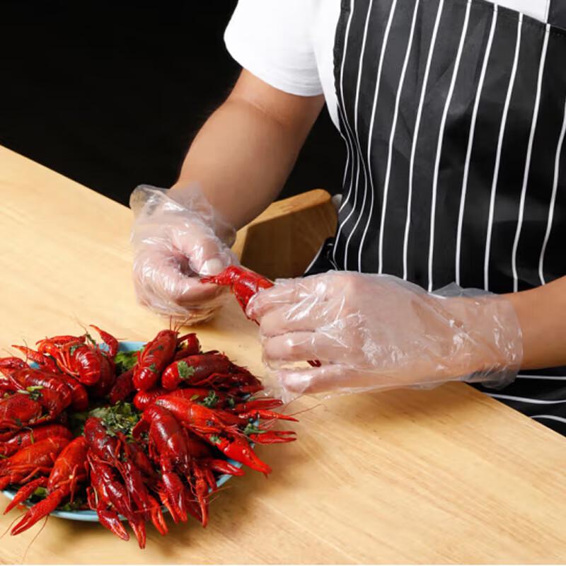 Disposable PE Gloves (100-Pack)