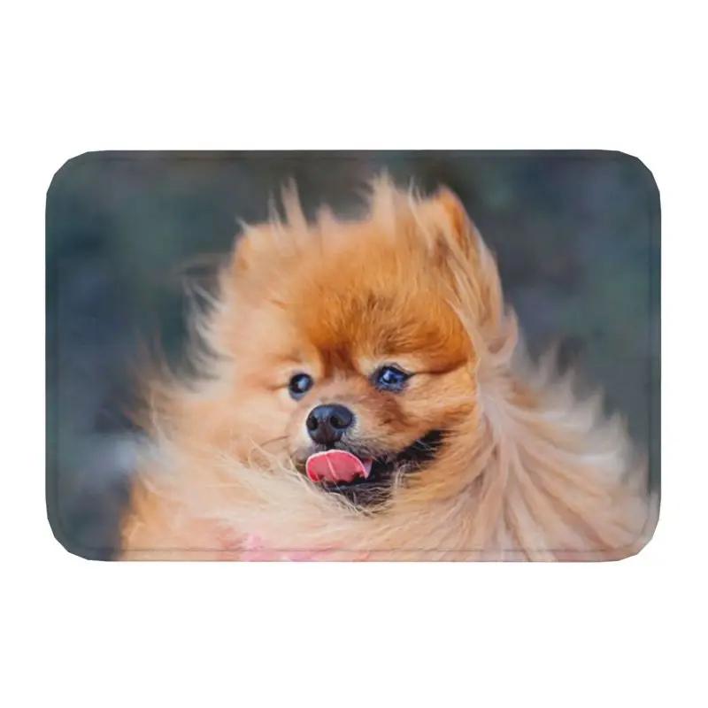 Pomeranian Dog With Summer Leaf Doormat Non-Slip Kitchen Bathroom Mat Garden Garage Floor Door Entrance Carpet Rug