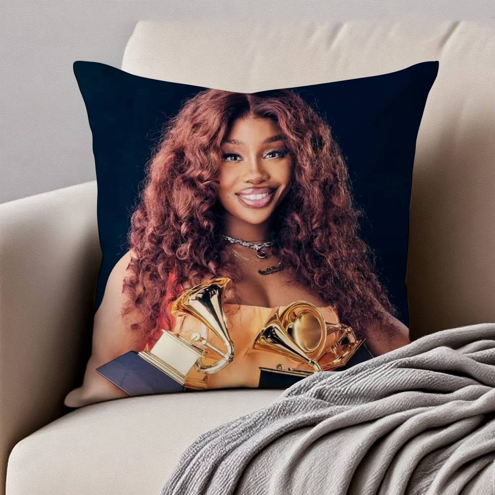 American Star S-SZA Pillow Case Anti-dustmite Invisible zipper Sofa Bed 12x12Inch