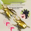Creative Wind-Up Clockwork Beetle Toy: Crawling Prank Insect Model for Kids