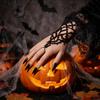 Double-sided Spider Web Bracelet Velvet Adjustable Hand Chain Gothic Bracelet  Music Festival