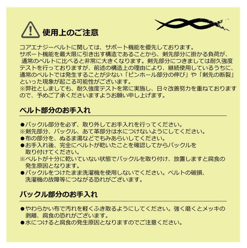 [CoreEnergy] Belt, CoreEnergy, Black, One Size Fits All