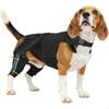 Attelle de soutien pour la patte arrière du chien pour déchirure et dysplasie de la hanche avec sangle réglable et stabilisateurs Support de jambe B03E