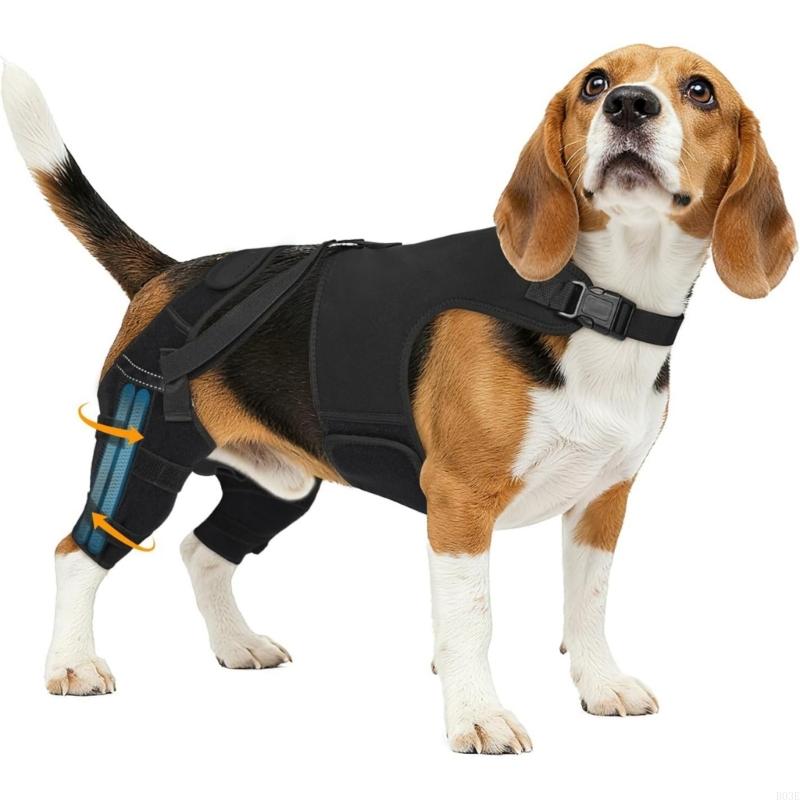 Attelle de soutien pour la patte arrière du chien pour déchirure et dysplasie de la hanche avec sangle réglable et stabilisateurs Support de jambe B03E
