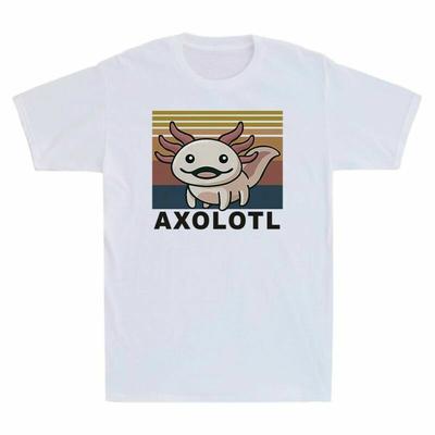 Üst giysisi – T-shirtler