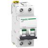 IC60N Miniature Circuit Breaker 2-pole 16A Curve C