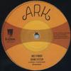 12inch Record INES PARDO / DON FE; LONE ARK RIDDI - Sound System (Extended) / (Instrume ARK12001 Ark EU 2017 Europe Reggae, Ska & Dub